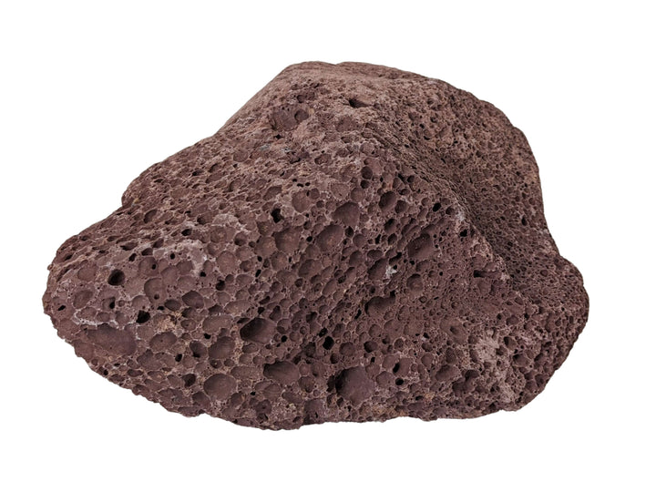The Large Lava Rock by Black Rock Grill is a porous, irregular volcanic rock measuring 8-15cm. It has a rough, dark reddish-brown surface with numerous holes and cavities, making it ideal for hydroponic horticulture.