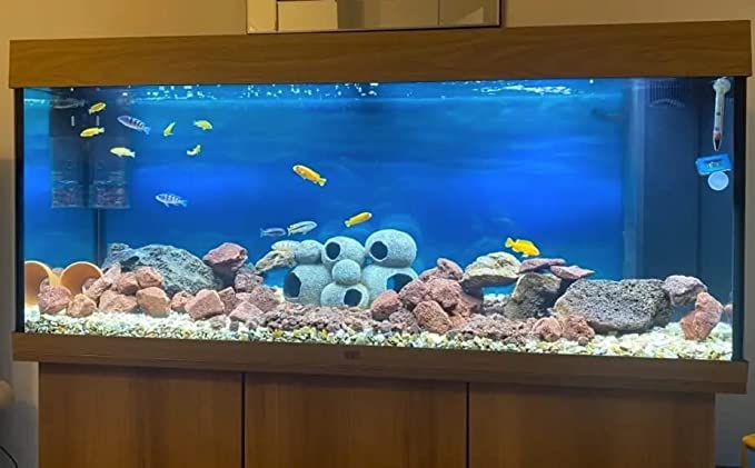 Lava rocks laid at bottom of fish tank and larger lava rocks making structures with fish swimming round them