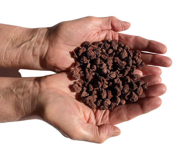 Hands holding Black Rock Grill Horticultural Lava Rocks (1-2cm, 20kg) against a white background, highlighting their excellent water retention properties perfect for hydroponic culture.