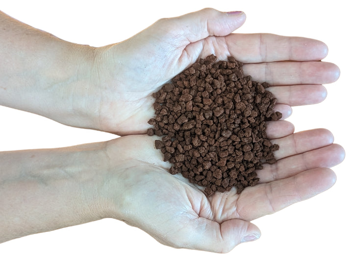 Two cupped hands hold a pile of small, brown granular Black Rock Grill Horticulture, Aquascaping Lava Rocks (2-10mm, 1KG) against a white background.