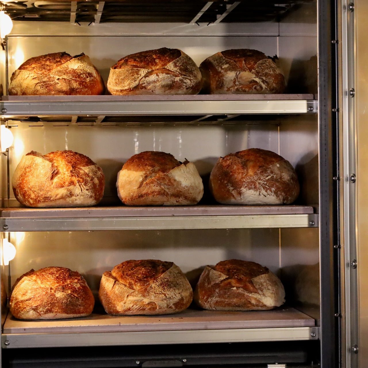 MY FORNO - SINGLE PHASE OVEN - Pizza Solutions